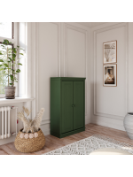 Estante de madeira com 1,19 m na cor verde com duas portas maciças / Coleção biblioteca